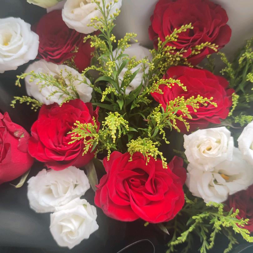 古丽好物分享2号