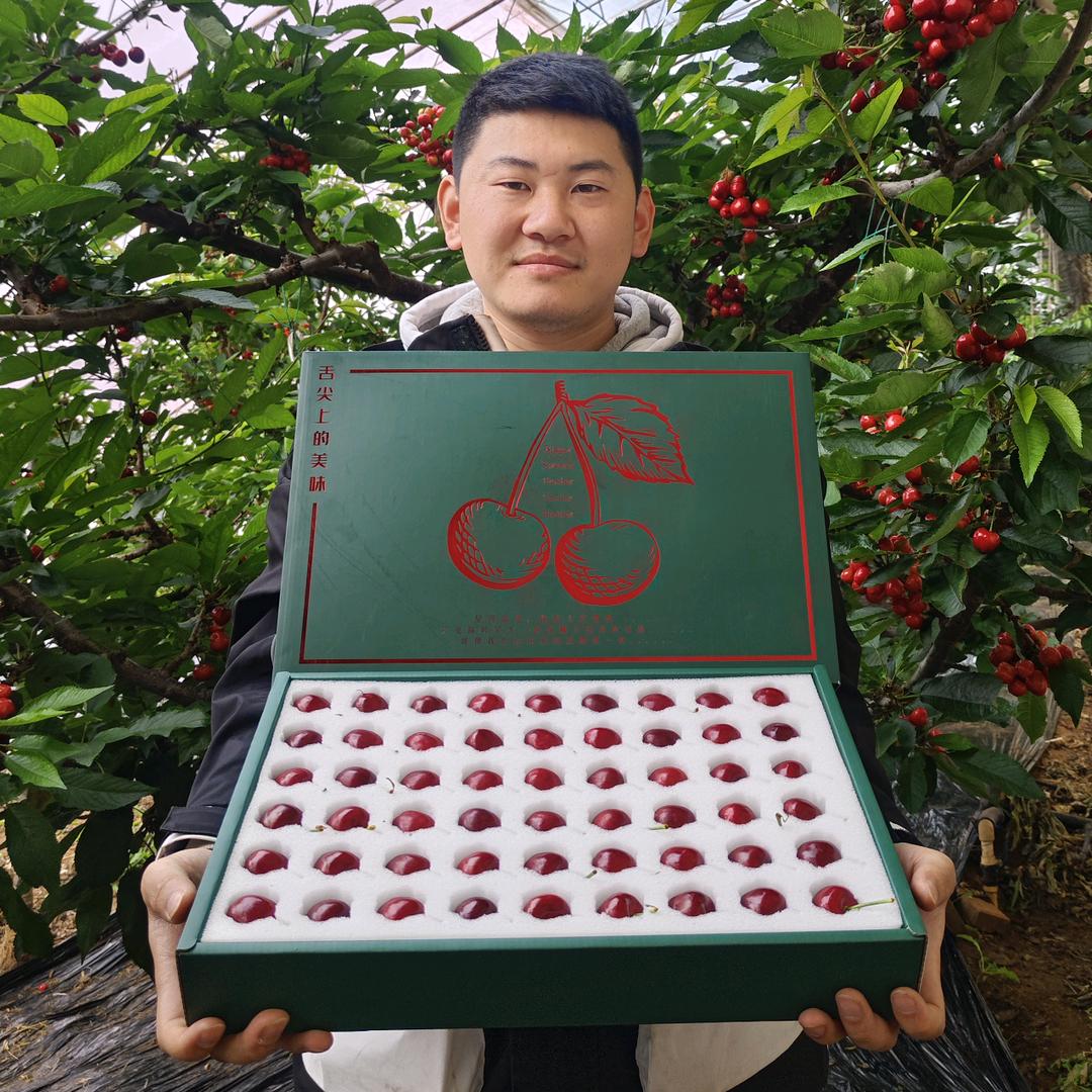 群樱匠选新鲜果