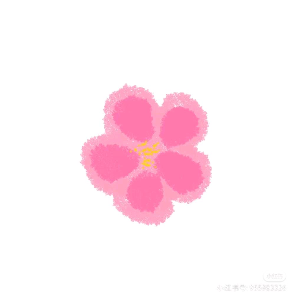 ♡S♡