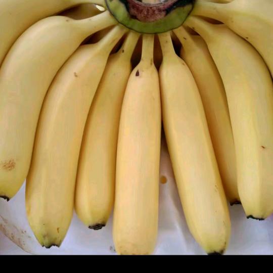 施