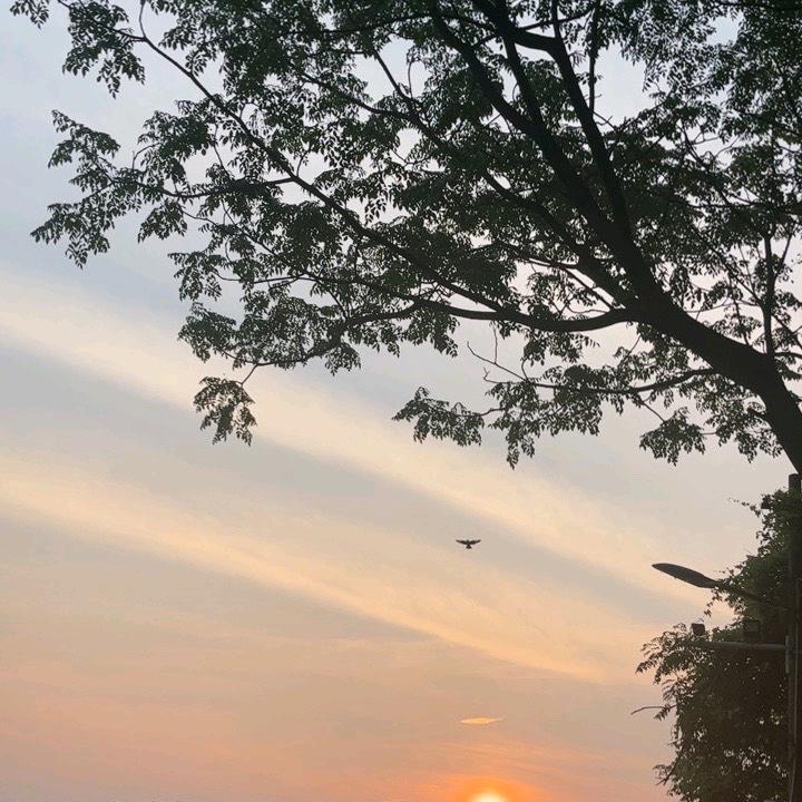 路面，奋斗者（摊铺，铣刨）