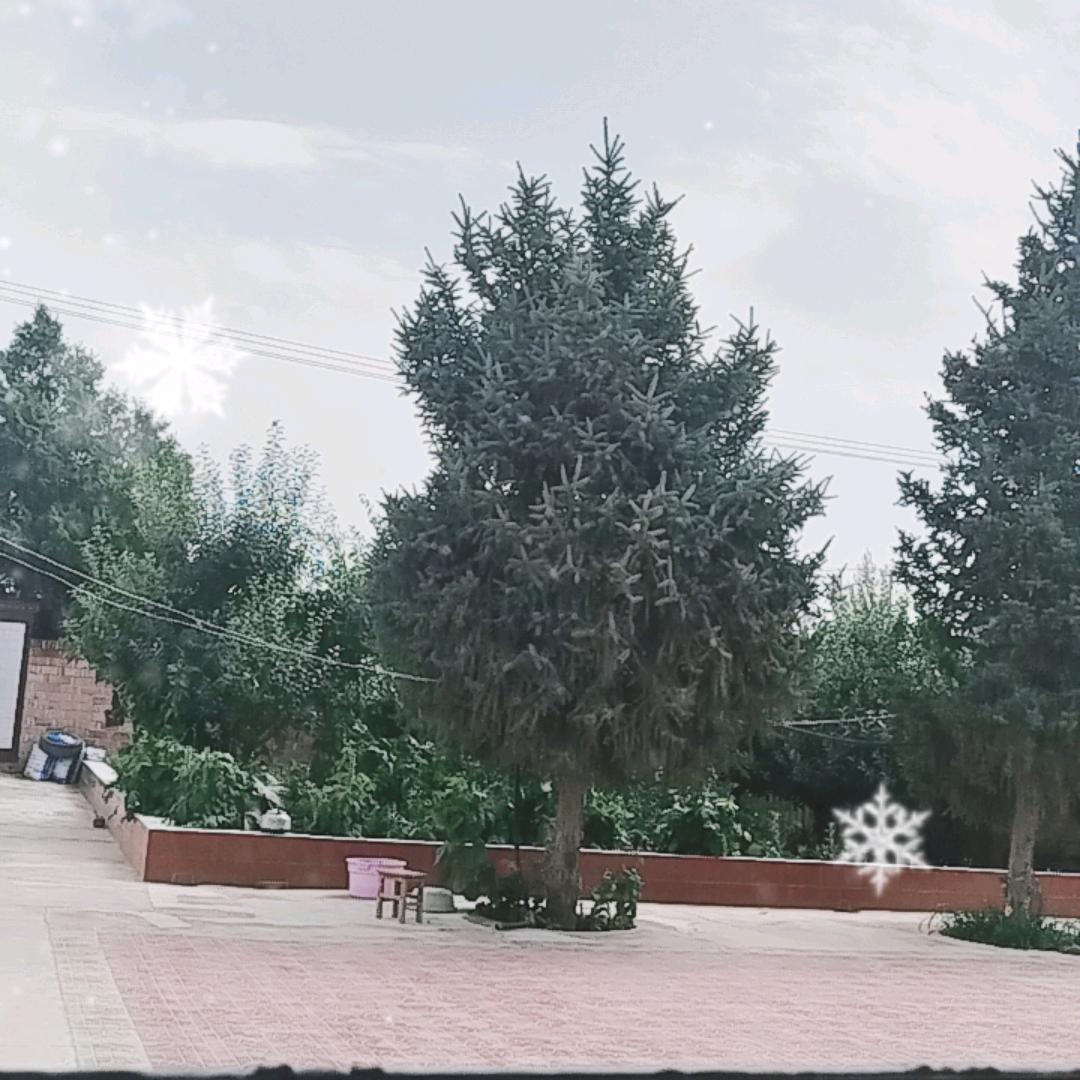 用户随缘8905990364691