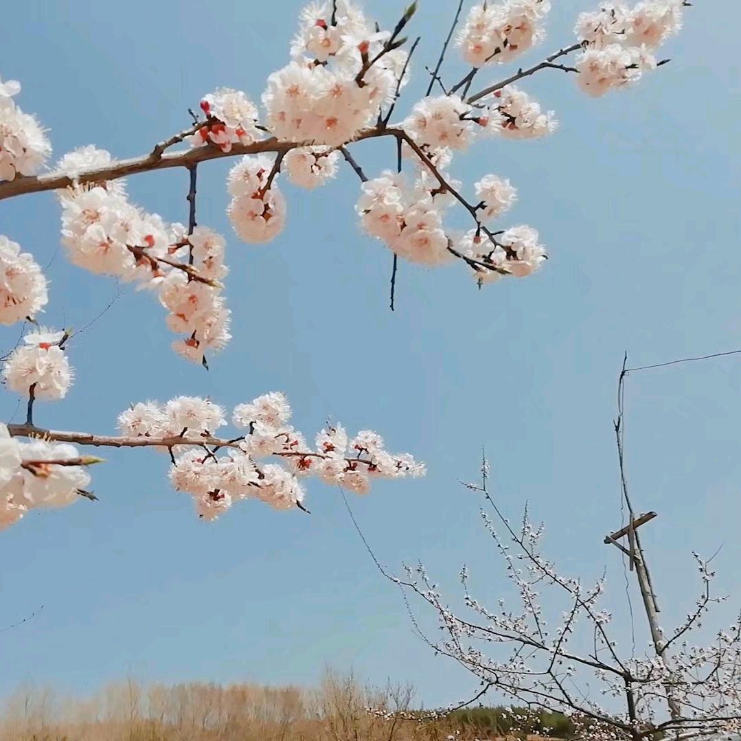 ⭐️⭐️顺其自然⭐️⭐️