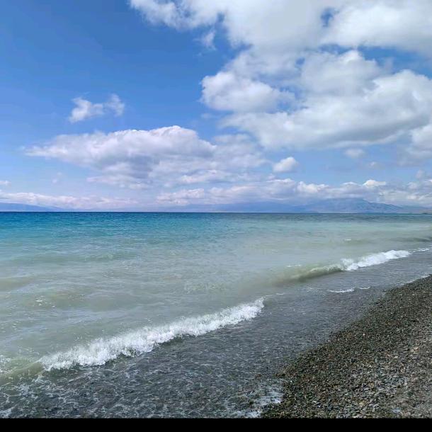 故人知（李旷）