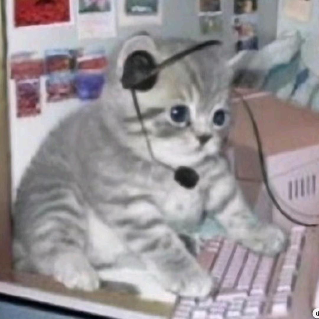 🌸花花的baby❤️