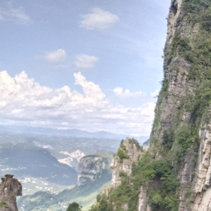 沈仙快乐水