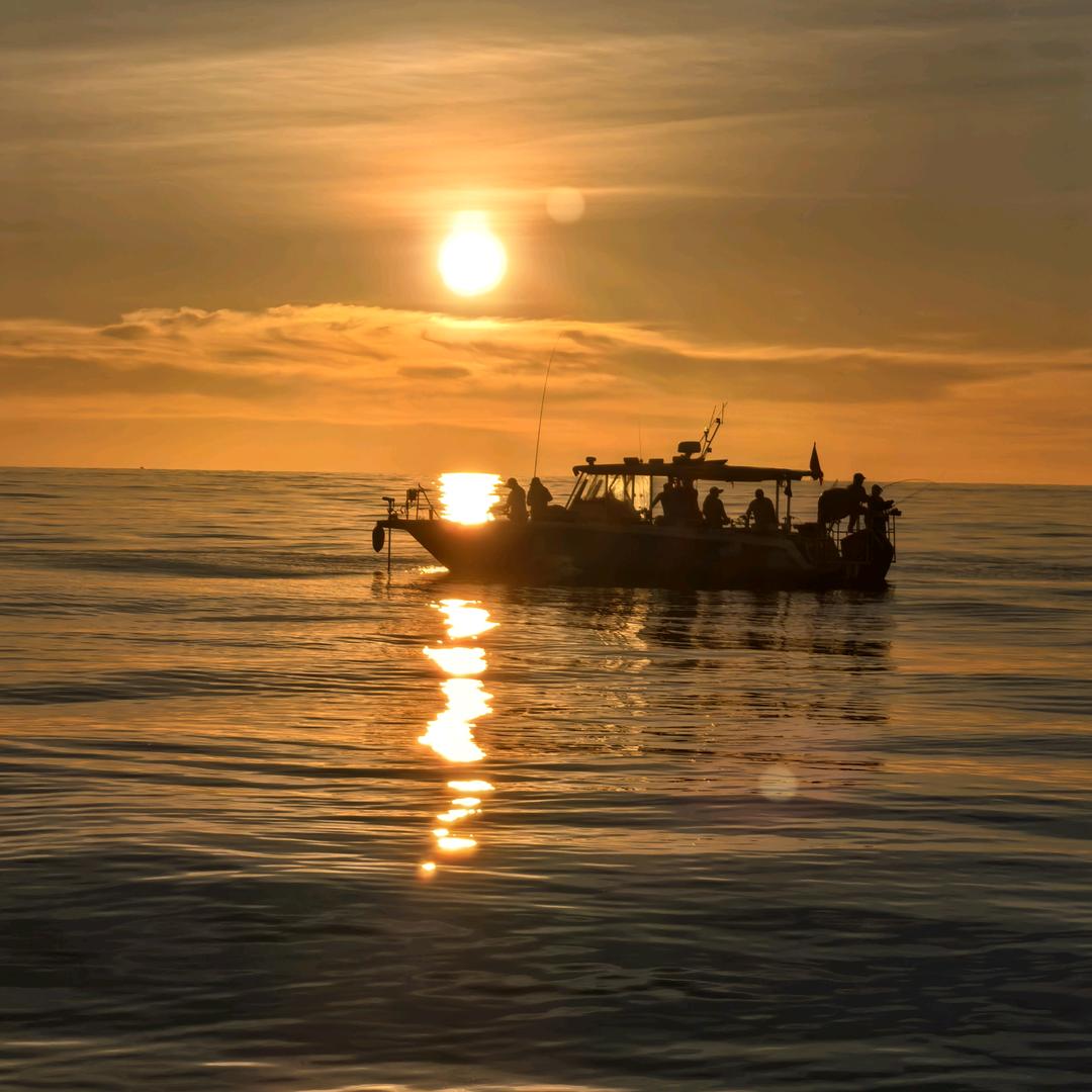 台山浪琴湾瀚扬海钓，海仔