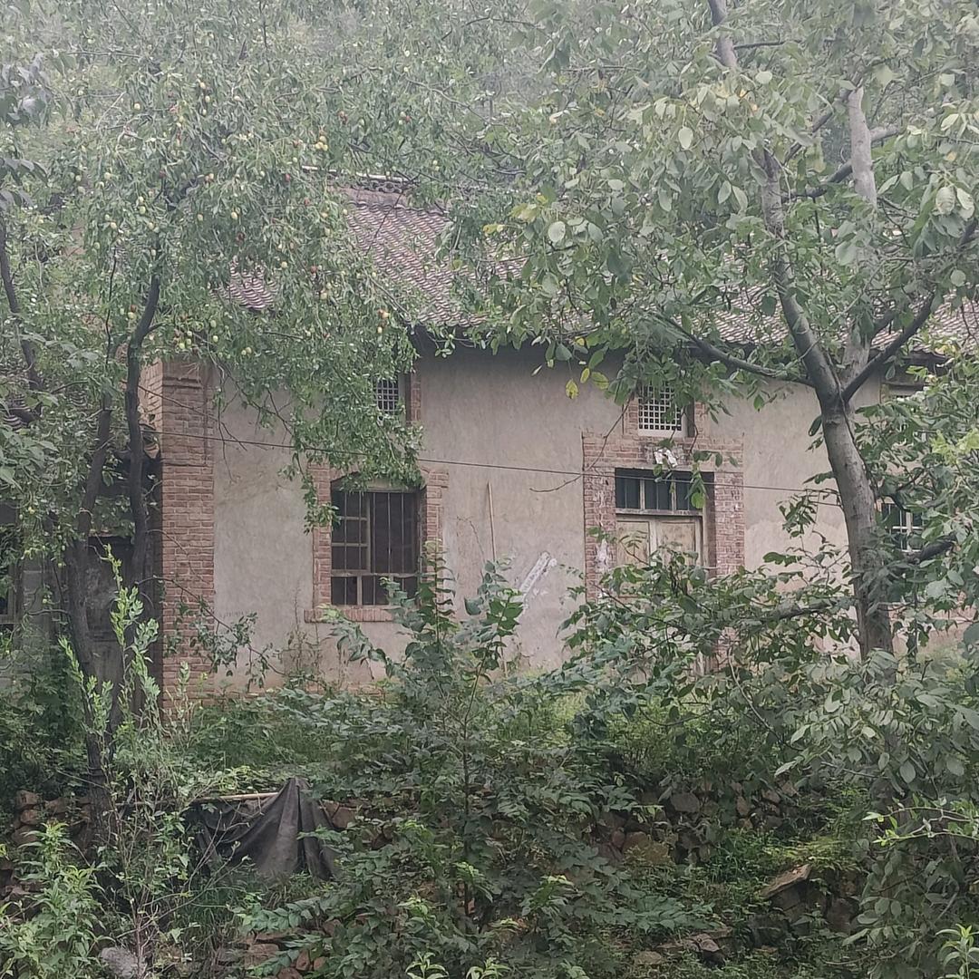 老婊（收废品）