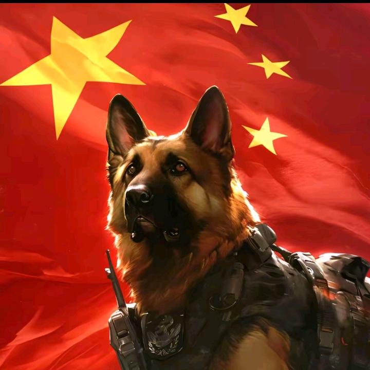 安徽一哥