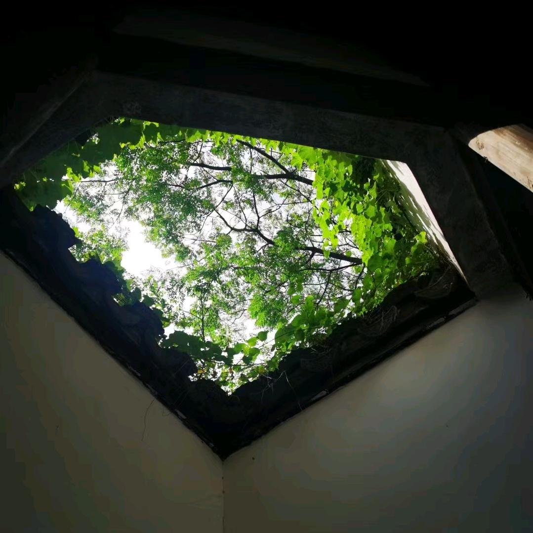 老陈谈资产配置