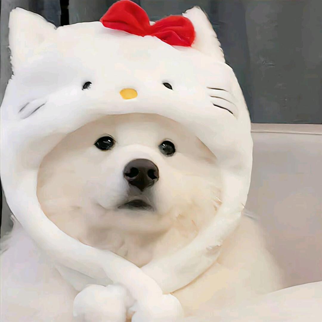 丶筱灵愿(*^▽^)/★*☆