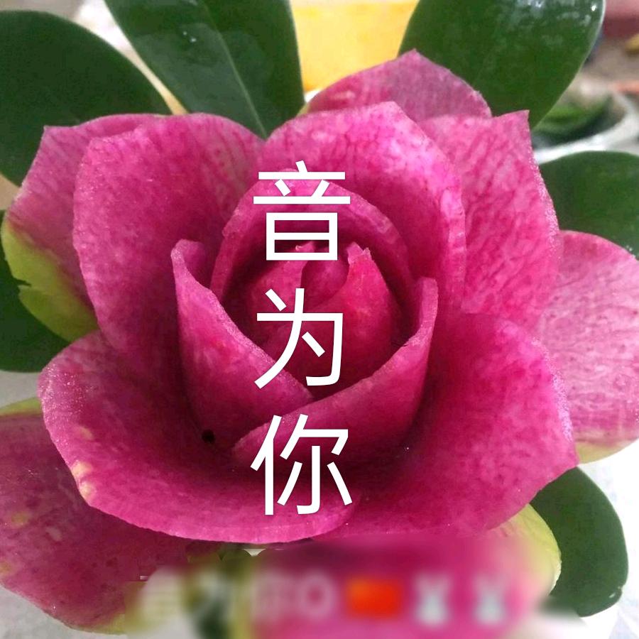 @墨染的花海