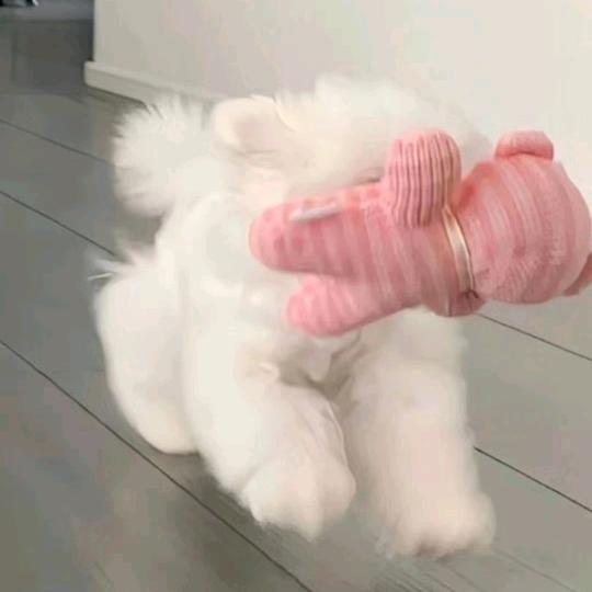 让我们说中文