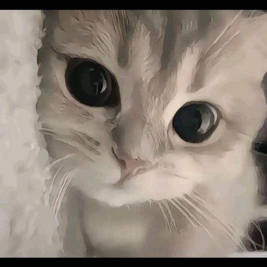 哈尼