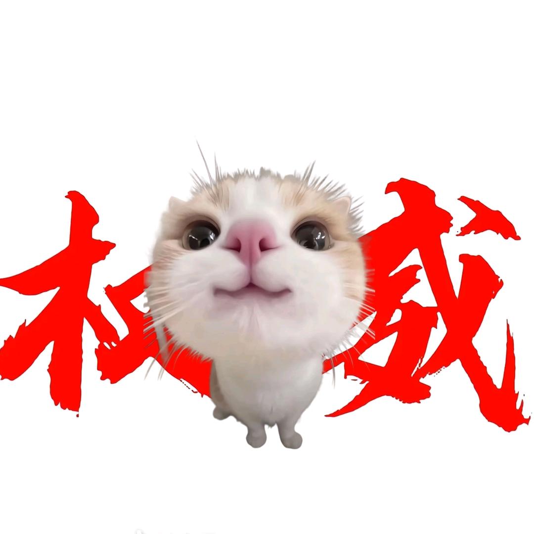 恒崽崽！