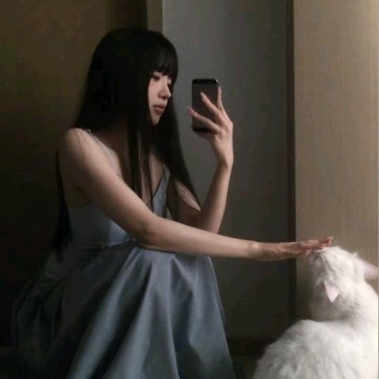 实沈