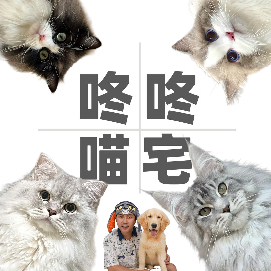 咚咚的喵宅