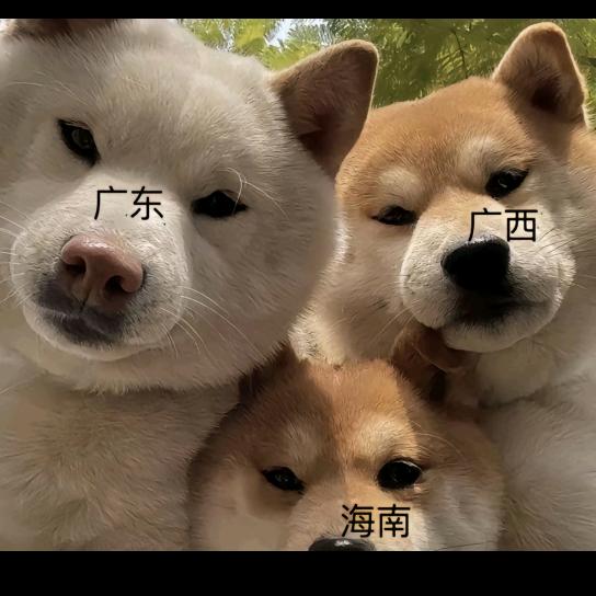 饿了就吃，收你们来了