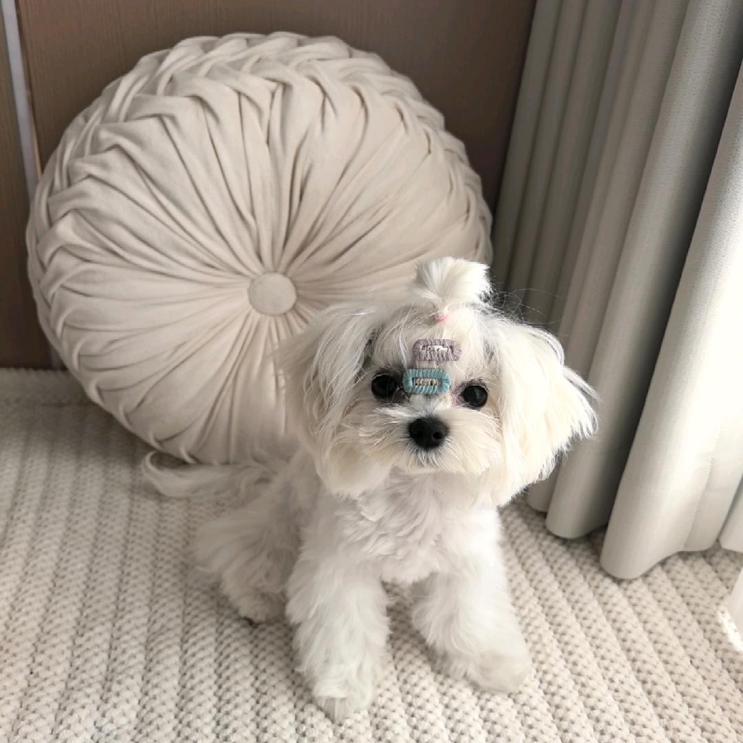 美美