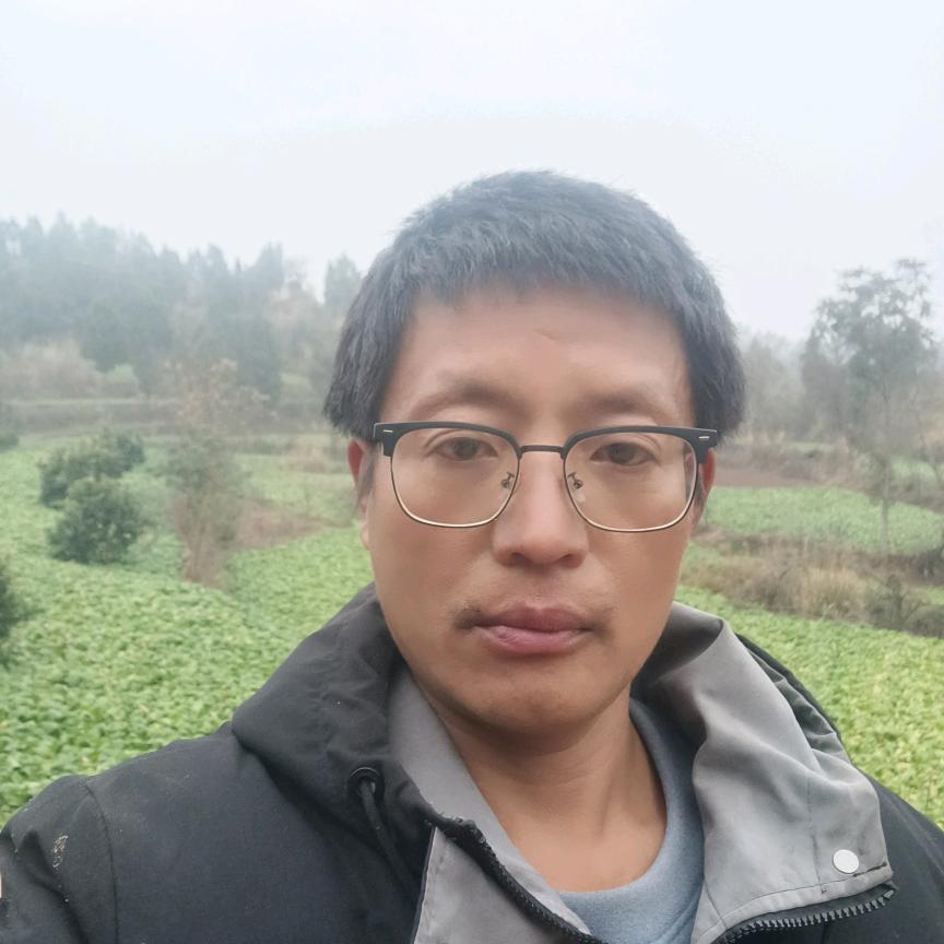 风中旳雨