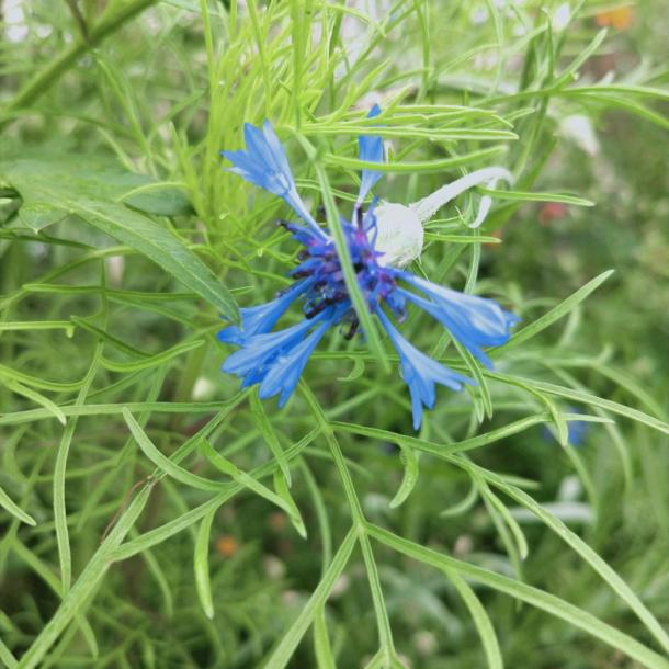 宁姐爱游玩爱团购