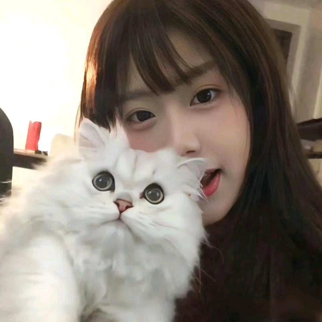 ᥫᩣ困困⁵²⁰