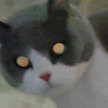 平平无奇王铁铁