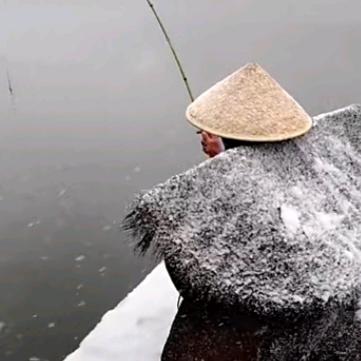 为娱、为鱼、喂鱼