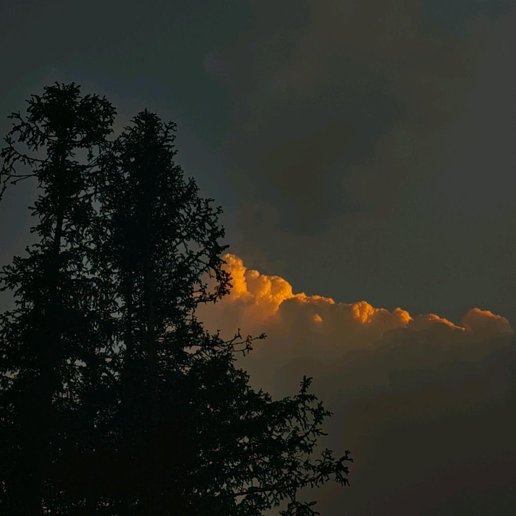 后来呀，没有后来。