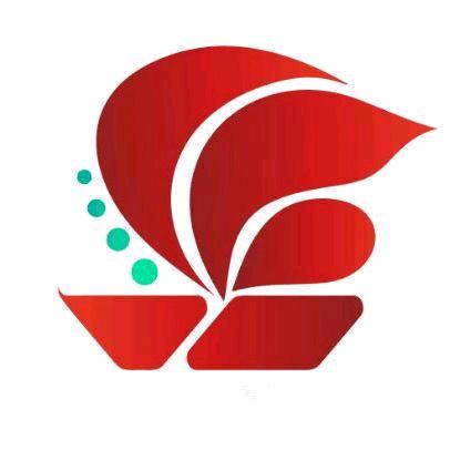 珠三角拉柜小伙