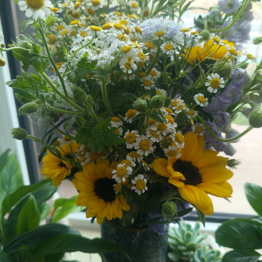 南宫凝月（拒私聊）