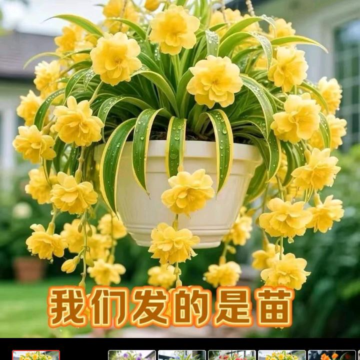 用户1067669396741