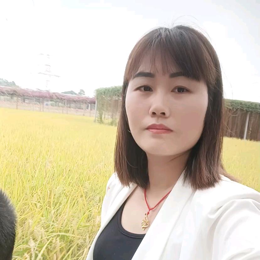 顾你周全