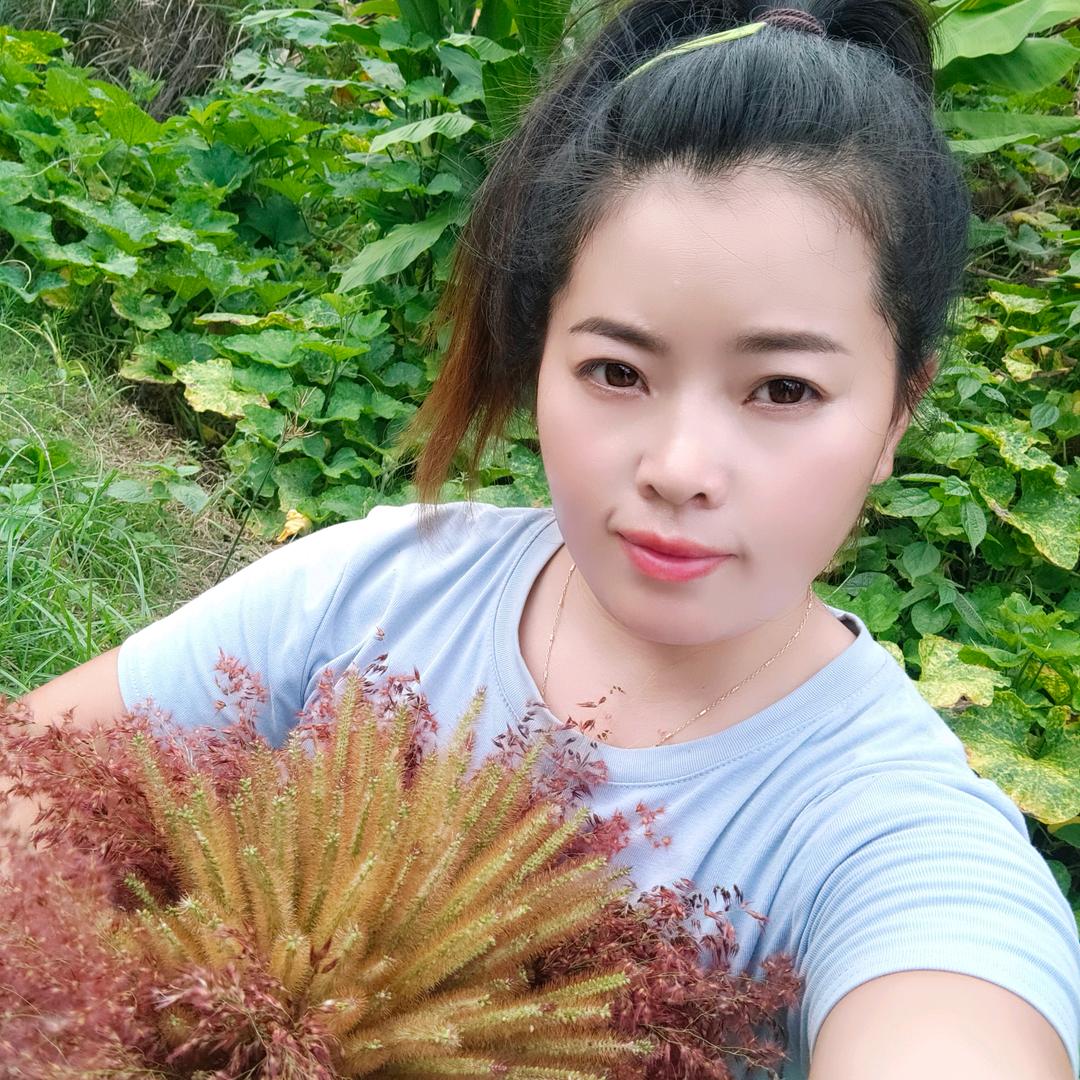 🌻如愿🌻