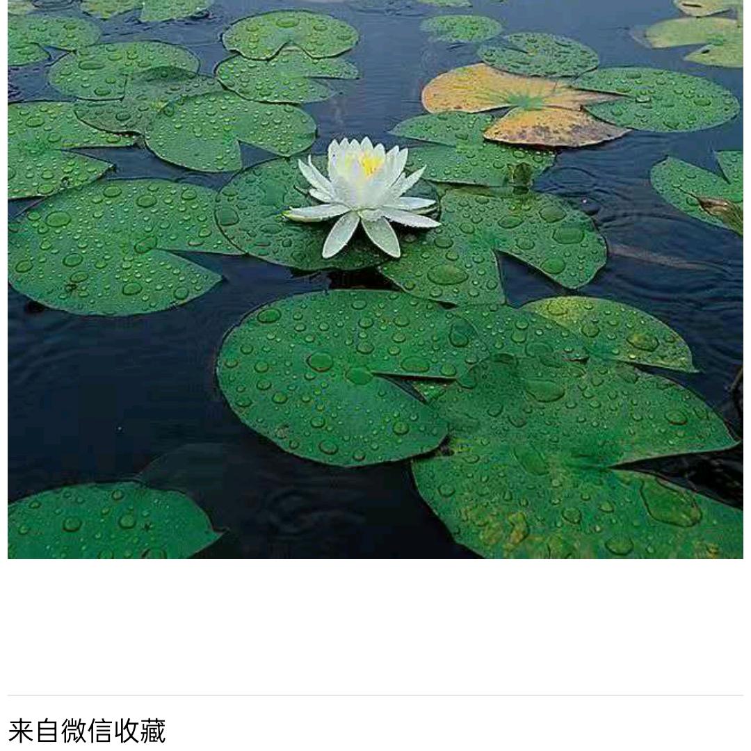 老男孩