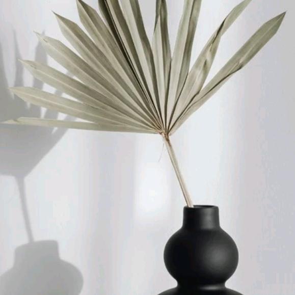 阳光☀️邮递员