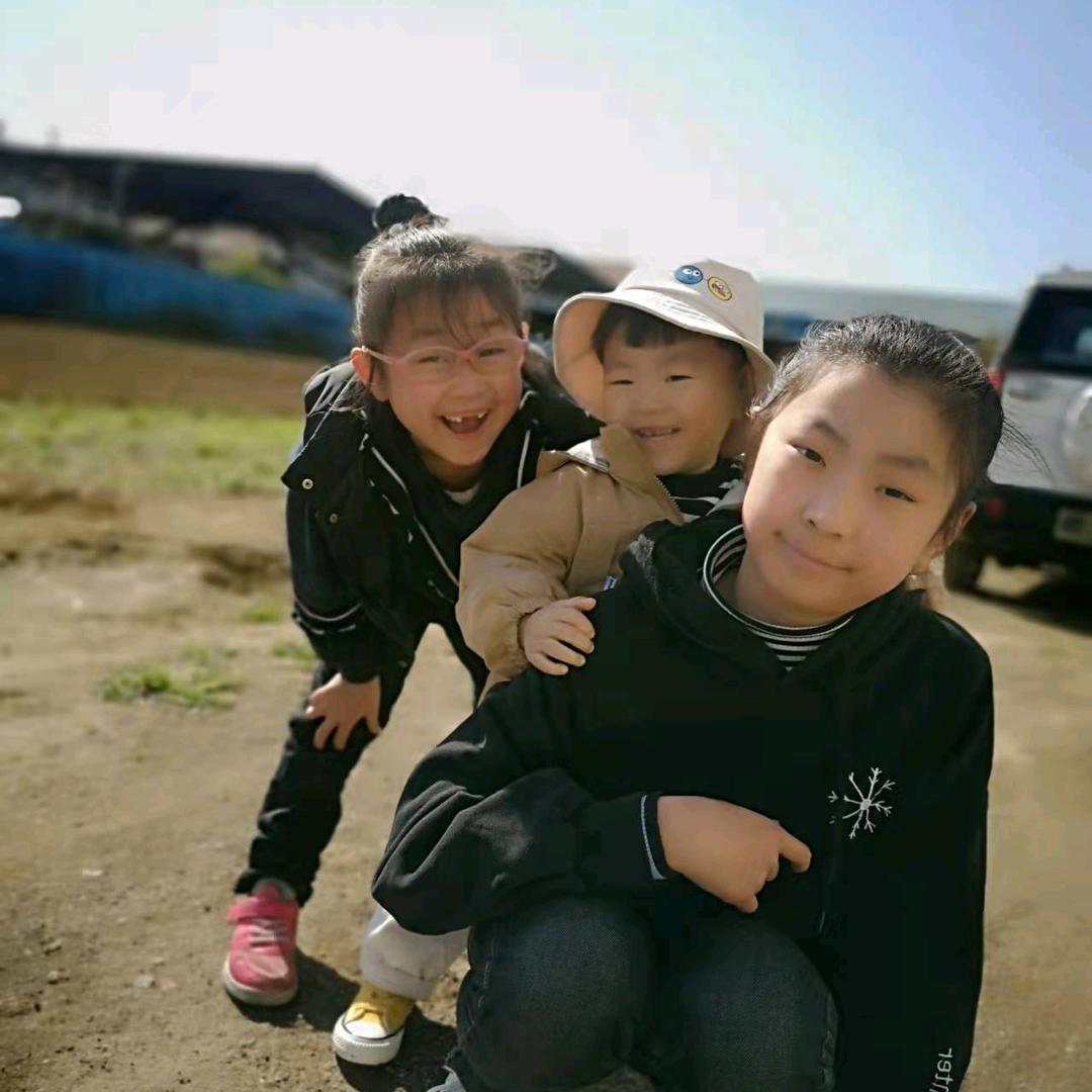 杨杨