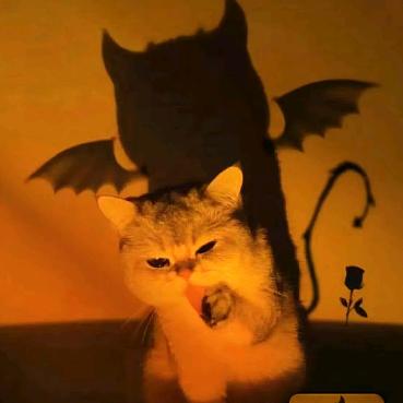 Chief Executive Offi