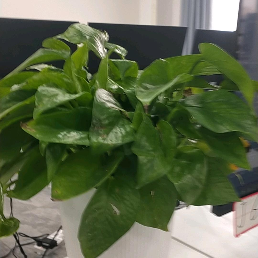 歼击机