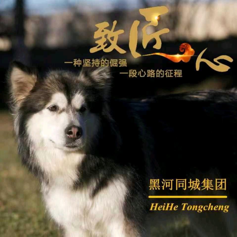 杰出优选淘小丫连锁仓储超市