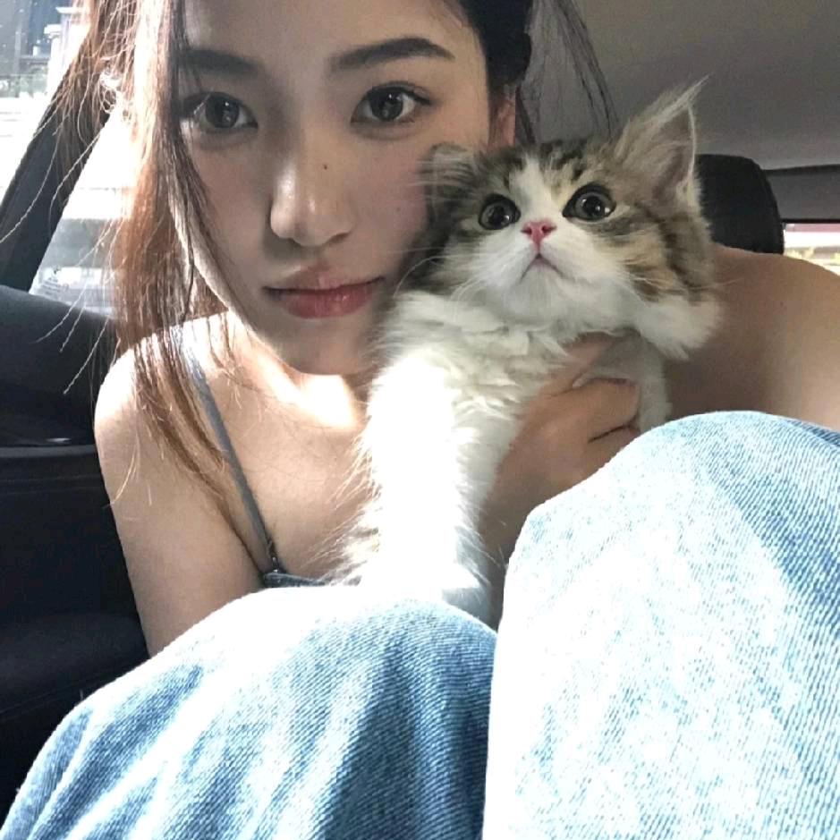 彤彤子