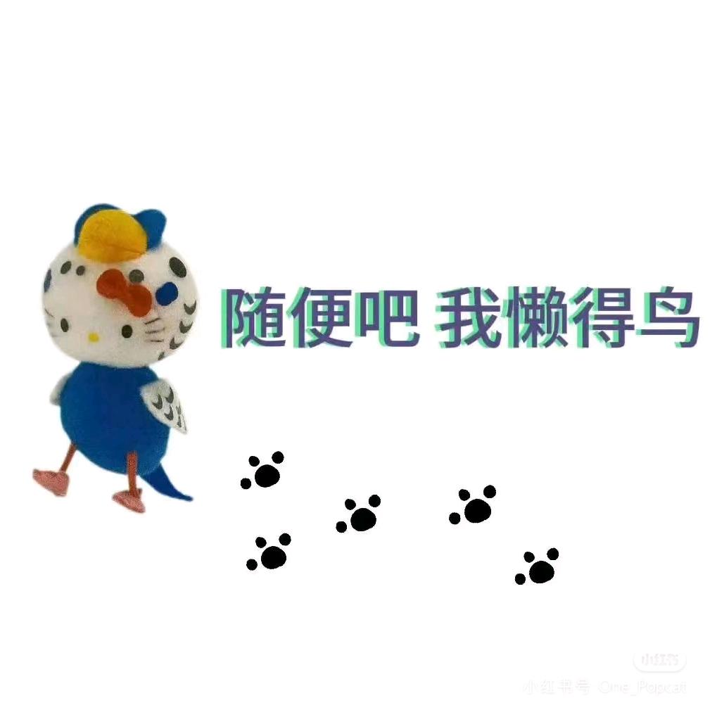 小红加油版