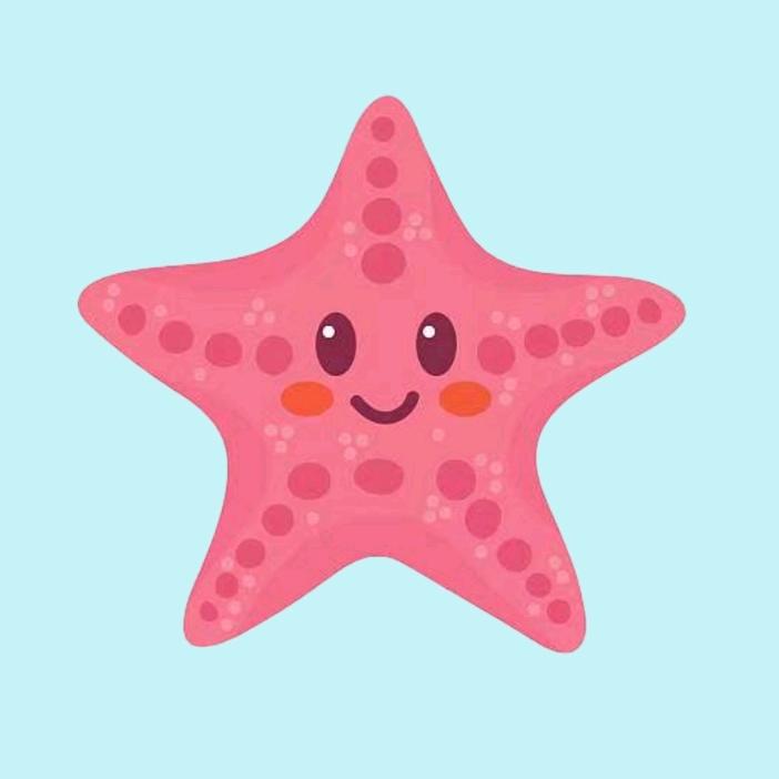 小海星动画