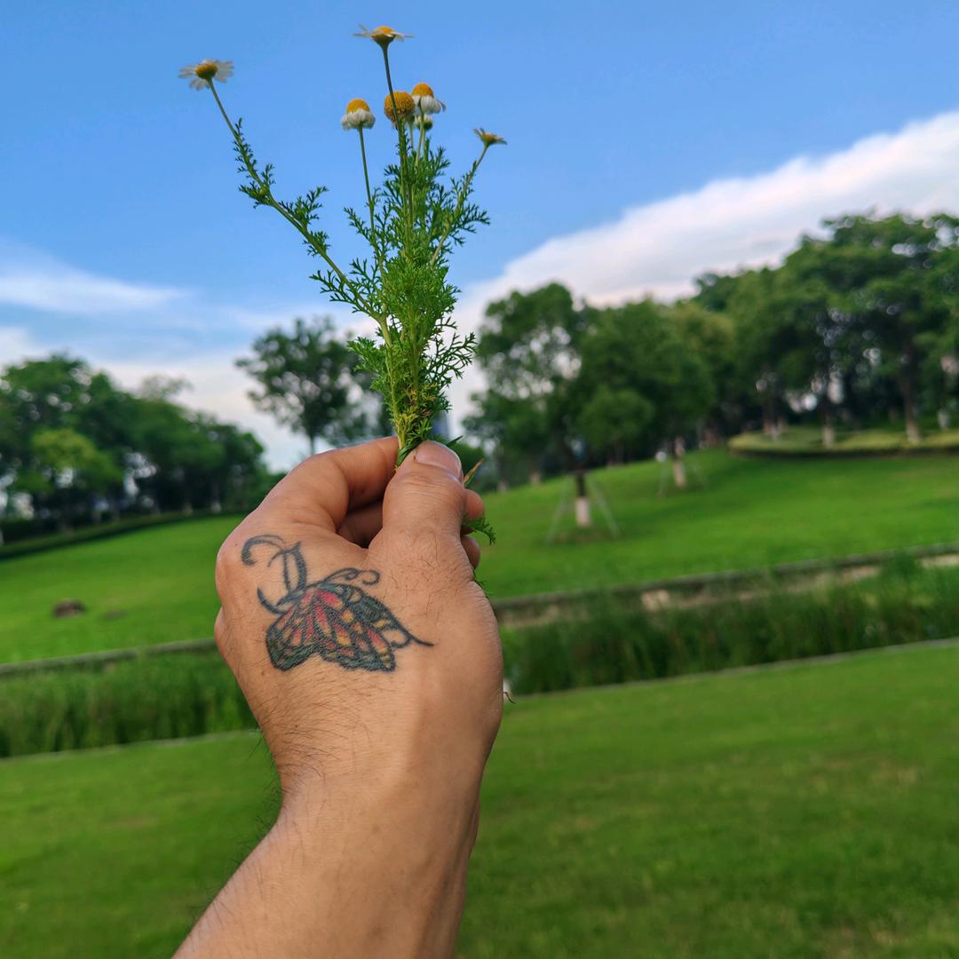 阳光总在风雨后（唐）
