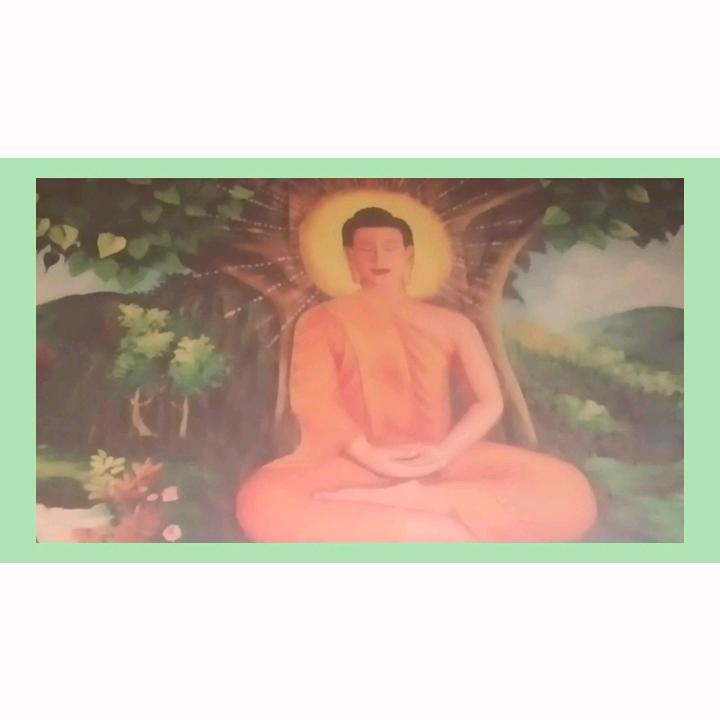 人到中年520