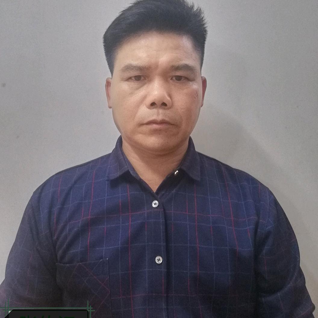 情愿是孤儿头像