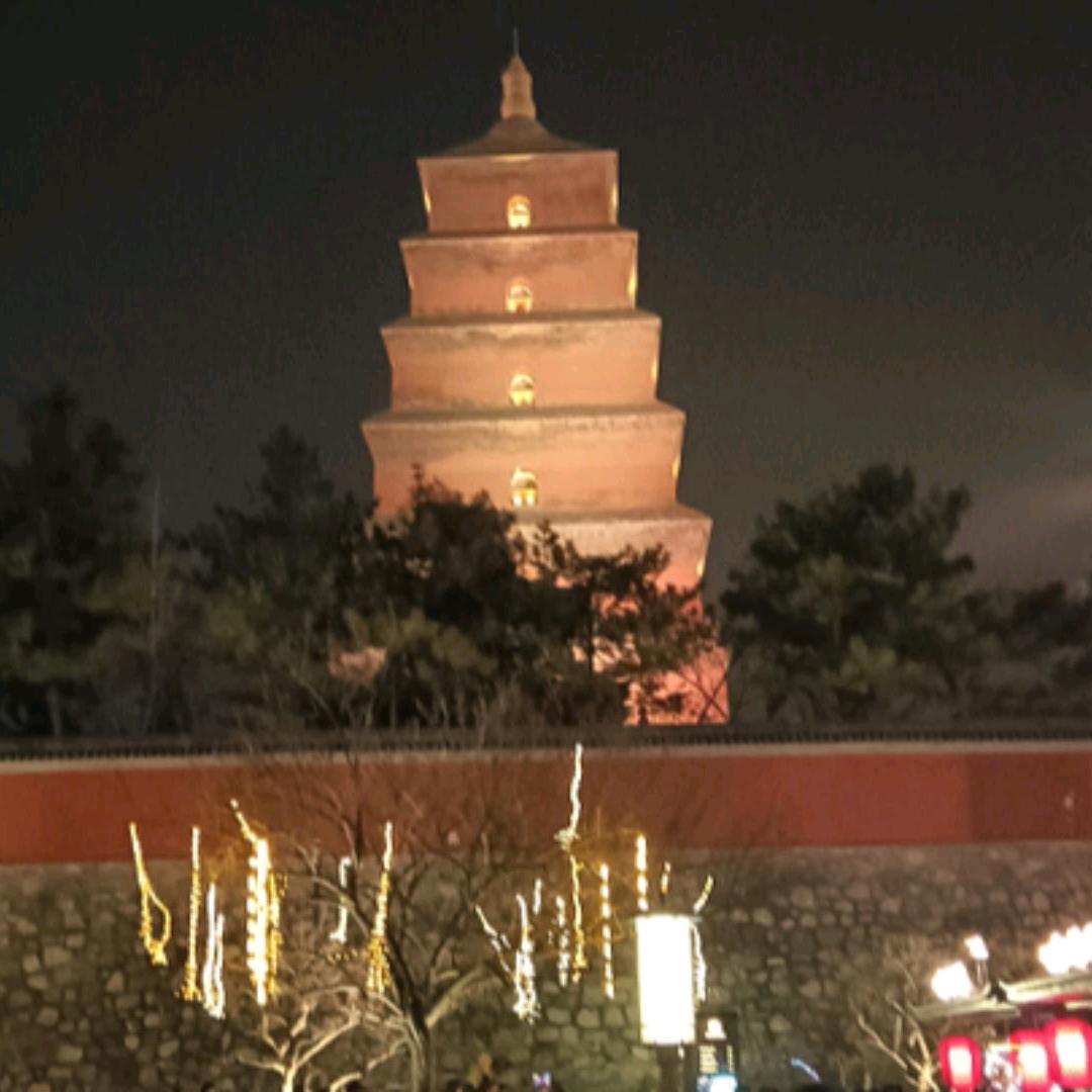 冬乐好物，短视频分享