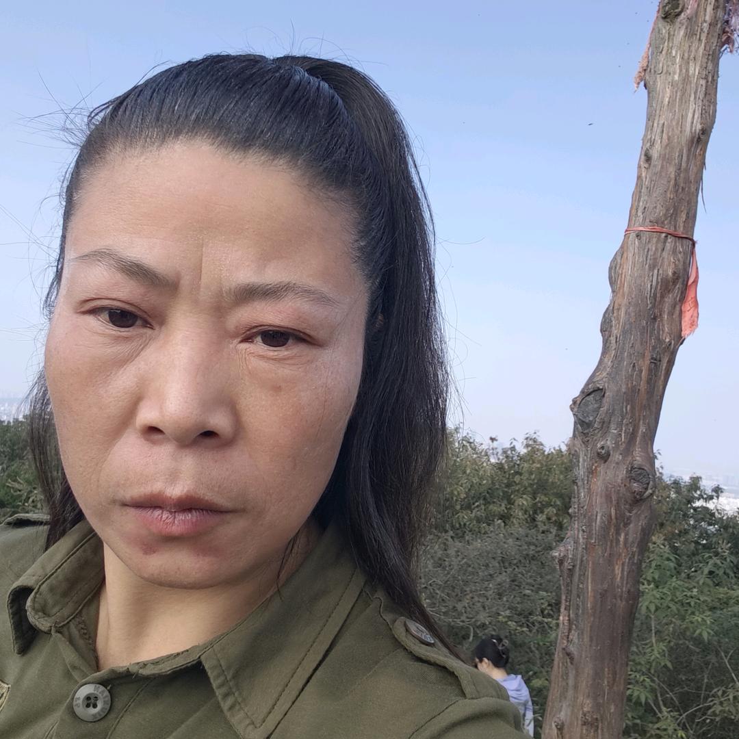 阿庆姐姐