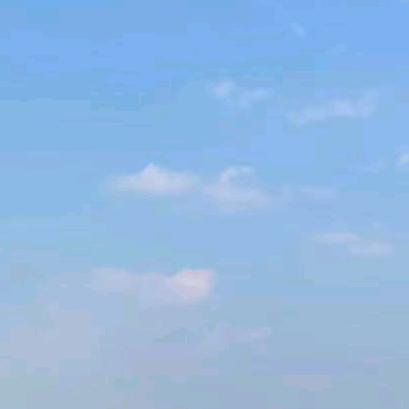 世瑾
