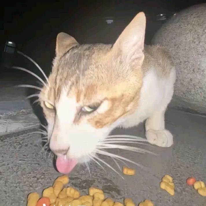 玛卡巴子